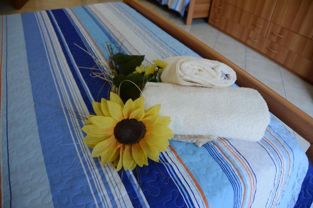 B&B Casabella Рипосто Номер фото
